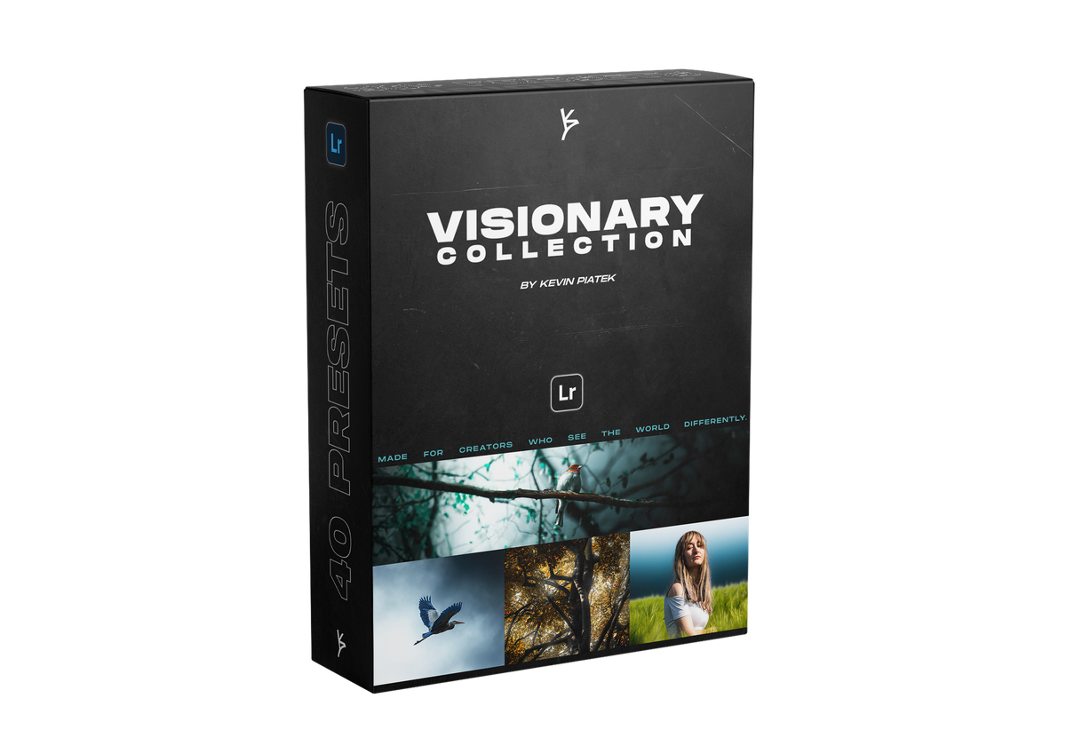 THE VISIONARY COLLECTION
